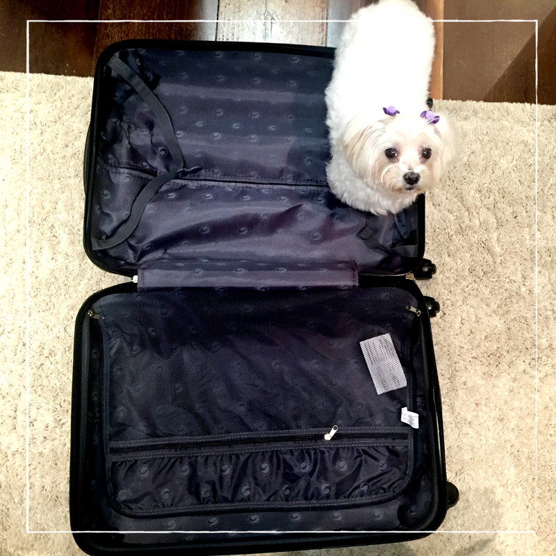 fabiana-justus_viagem_02