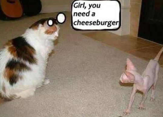 Screen Shot 2015-12-07 at 11.44.22 PM