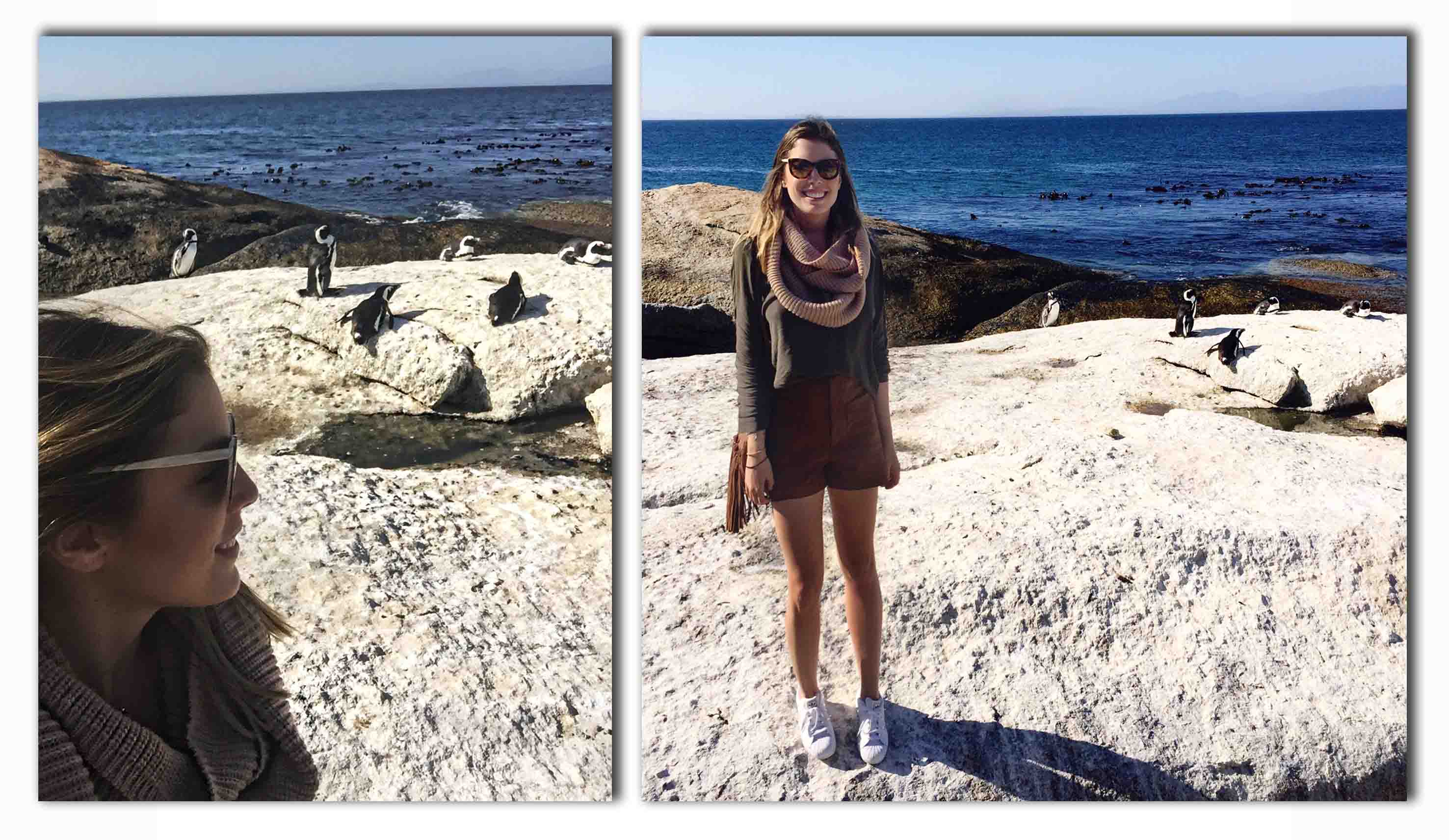 BOULDERS BEACH FJ 2
