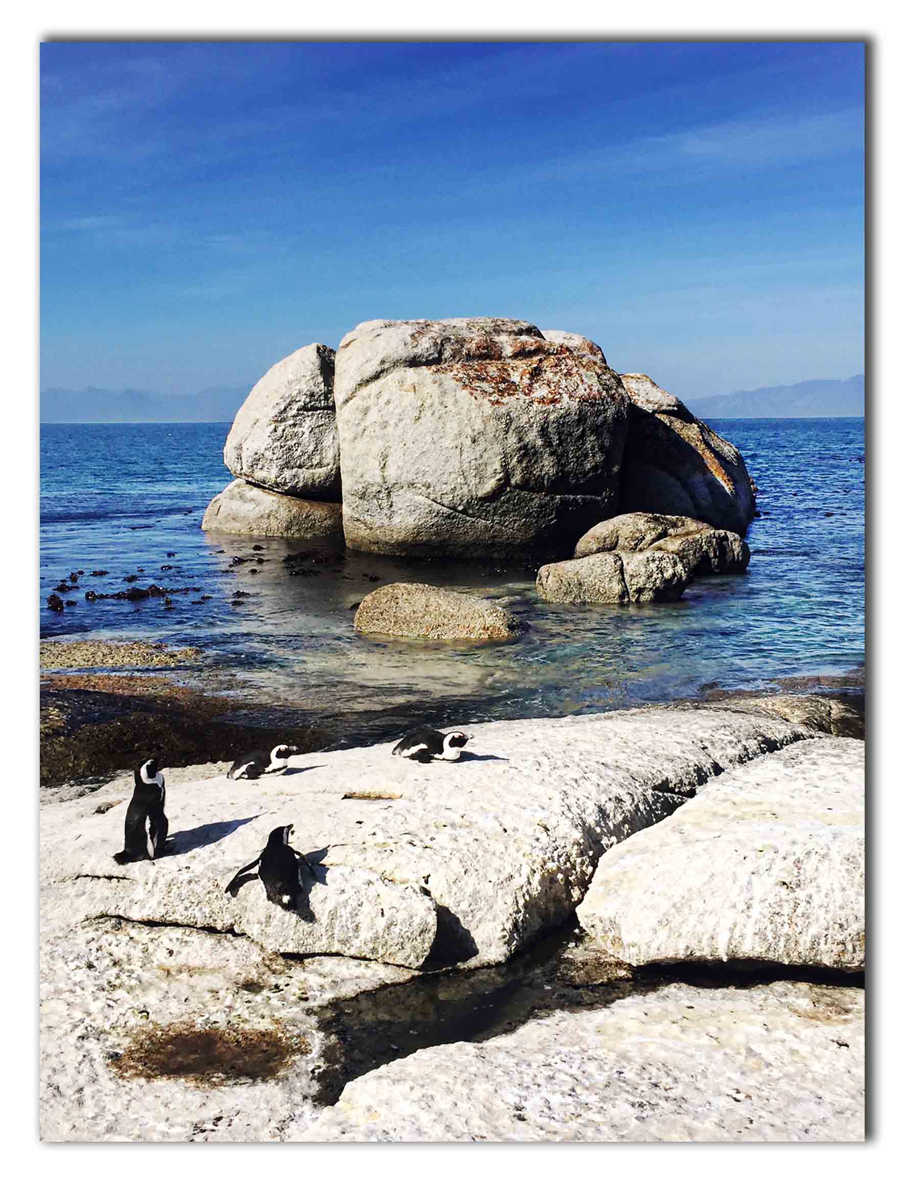 BOULDERS BEACH FJ